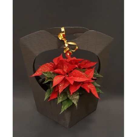 POINSETTIA PAILLETTE DIAMETRE 10 50 CM AVEC CACHE POT AU CHOIX ET ECRIN NOIR