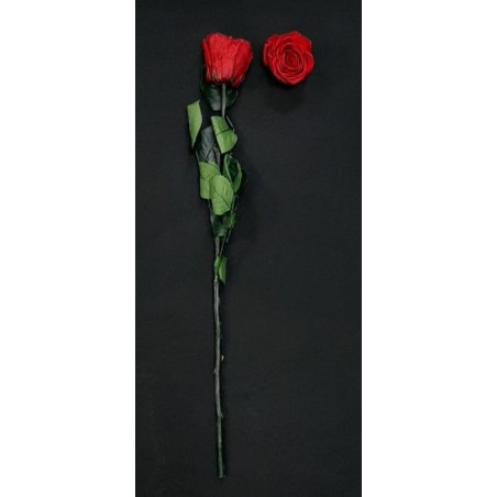 ROSE ROUGE ETERNELLE 50CM