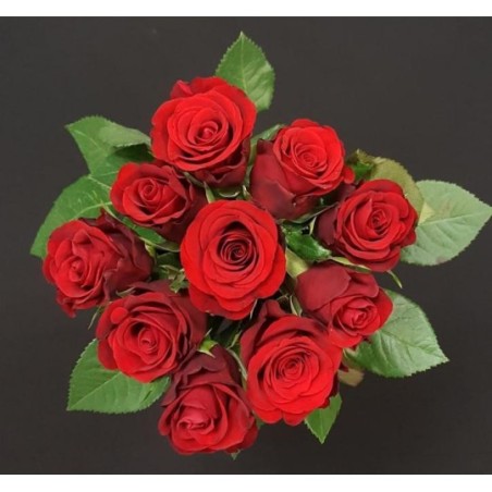 ROSE ROUGE 50 CM 10 TIGES ( 5 ACHETEES 