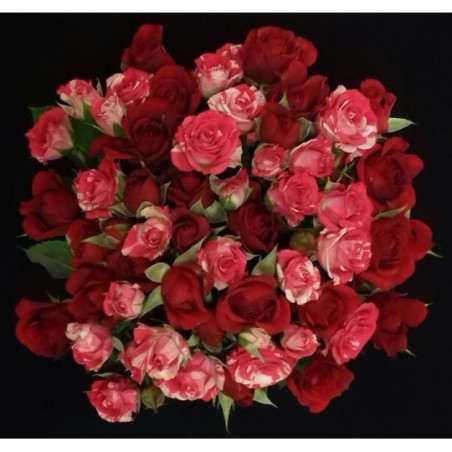 BOUQUET PROMOTION ROSE BUISSON 10 TIGES ( 5 ACHETEES 