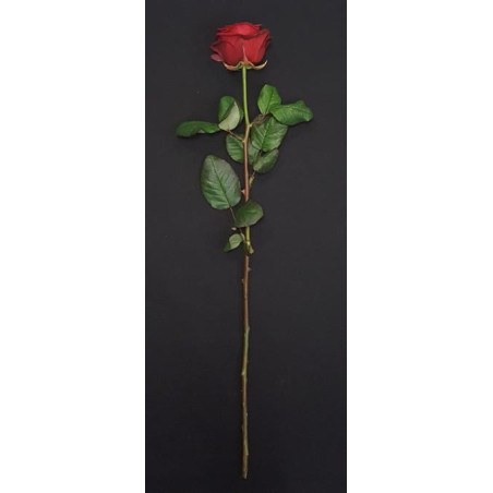 ROSE ROUGE 70CM